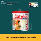 Catylac Wall Paint 1