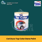 Cat Duco Top Color Dana Paint 1