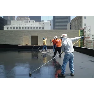 Cat Waterproofing
